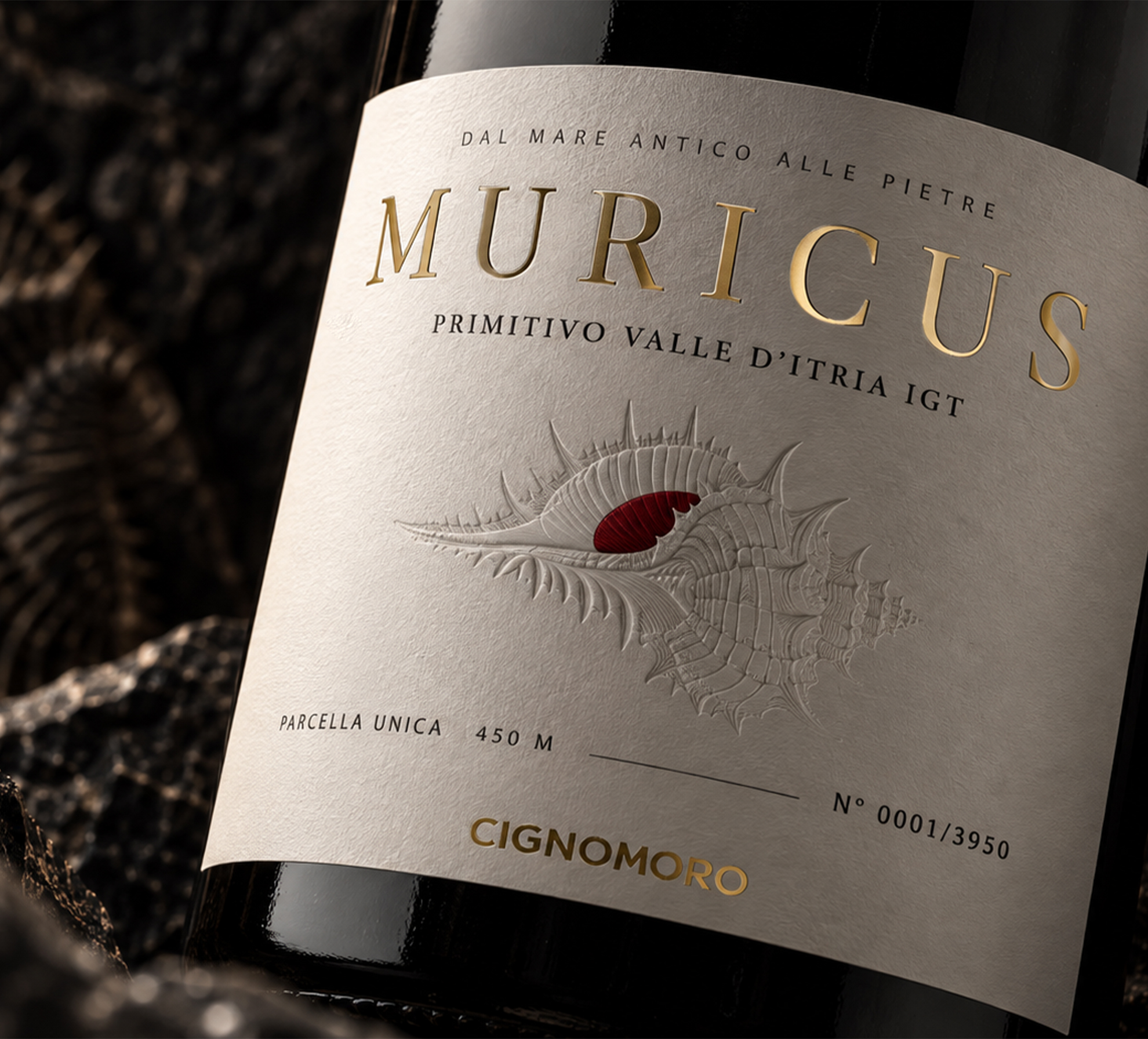 muricus per scheda prodottol ateraleB